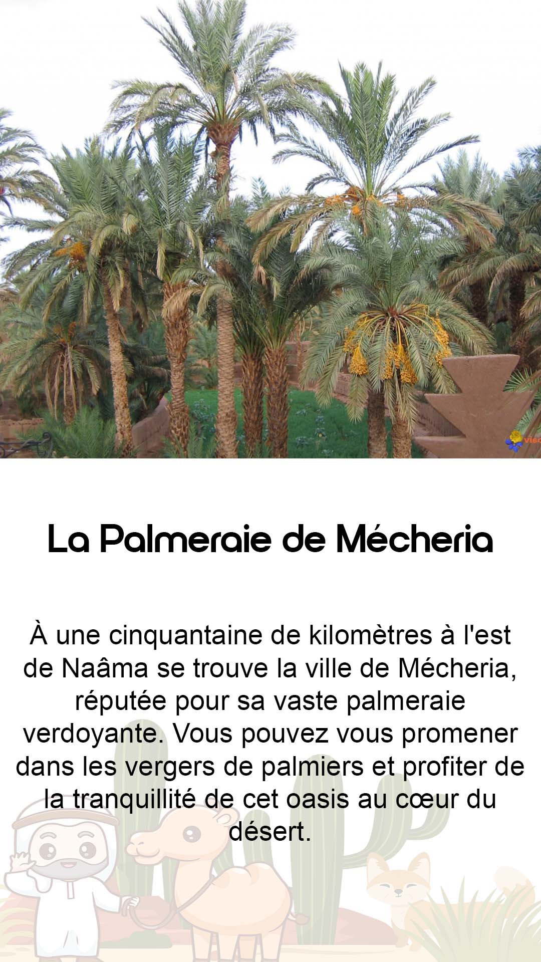 carte palmeraie